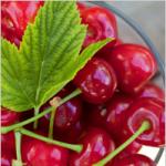 ធ្វើ compote cherry សម្រាប់រដូវរងារ