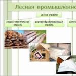 Industria forestale e della lavorazione del legno Industria del legname