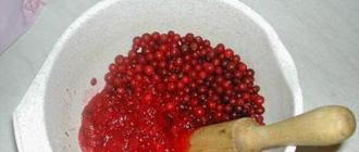 Jus cranberry: cara membuatnya di rumah dengan cepat dan lazat
