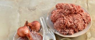 फोटो के साथ कीमा बनाया हुआ मांस के साथ पास्ता लसग्ना रेसिपी